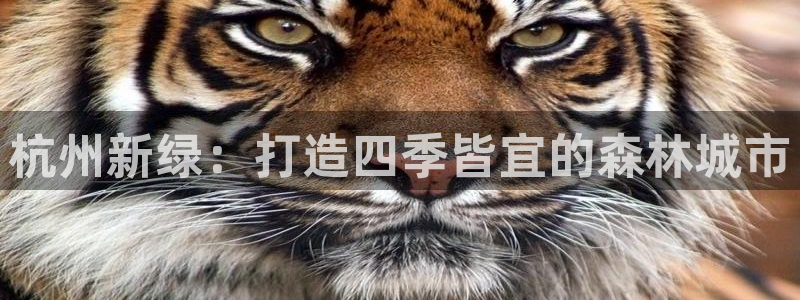 j新宝GG:杭州新绿:打造四季皆宜的森林城市