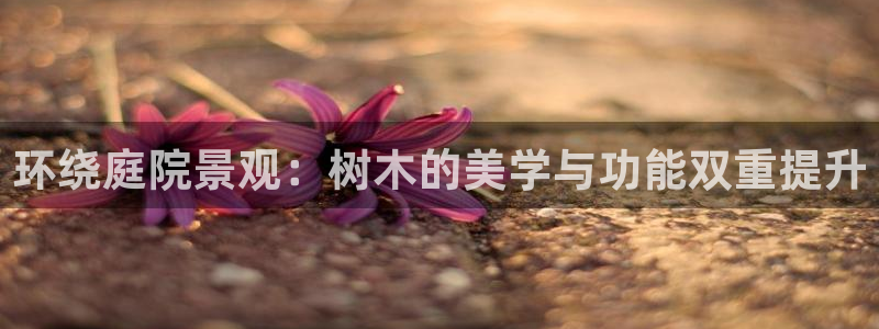 旧版新宝GG:环绕庭院景观:树木的美学与功能双重提升