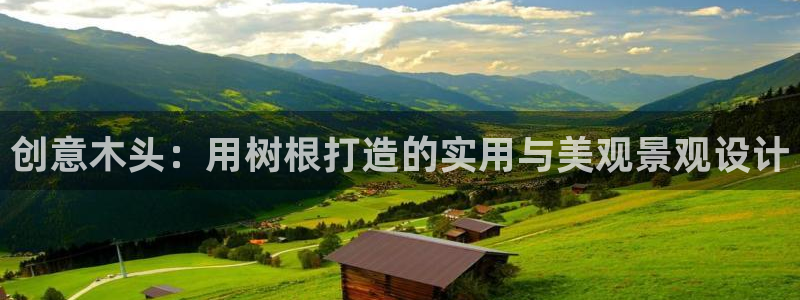 新宝GG卢355051:创意木头:用树根打造的实用与美观景观设计