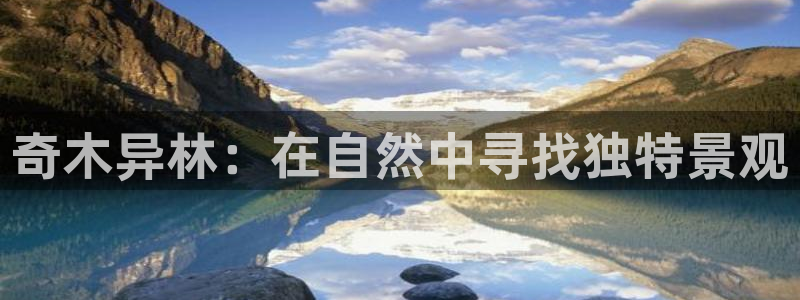新宝gg平台gg登录gg网址:奇木异林:在自然中寻找独特景观