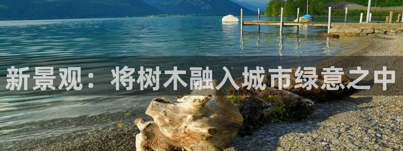 新宝gg登录页面:新景观:将树木融入城市绿意之中