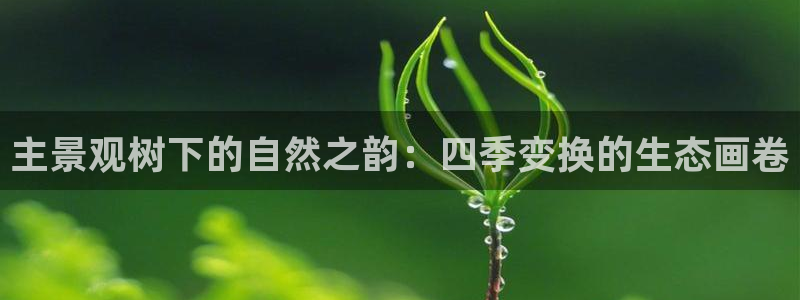 新宝gg 首页:主景观树下的自然之韵:四季变换的生态画卷